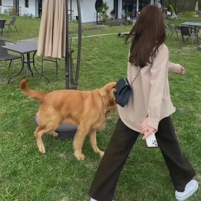 洋妞到我家