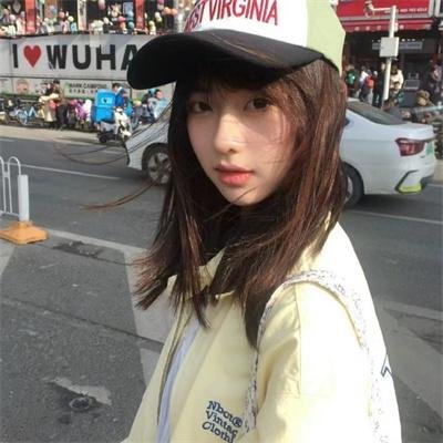 双生赤狐